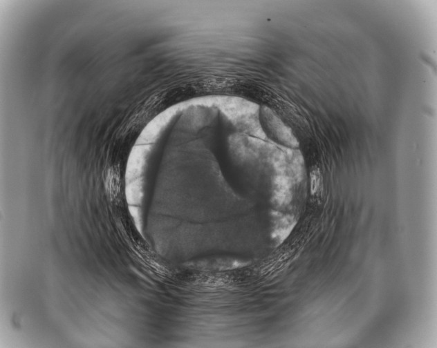 X0000097851011200804111123