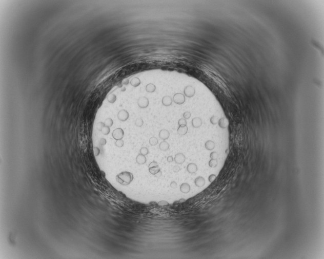 X0000097851015200804111123