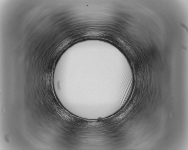 X0000097851017200804111123