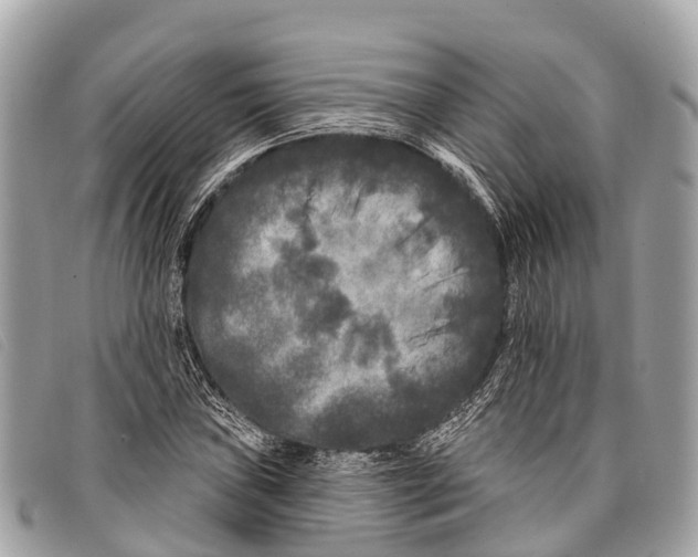 X0000097851019200804111123