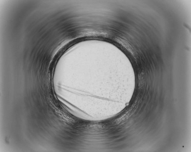 X0000097851021200804111123