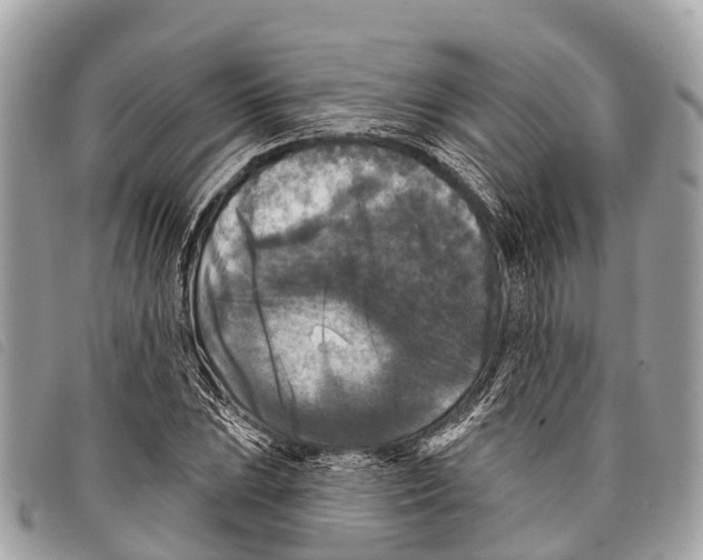 X0000097851023200804111123