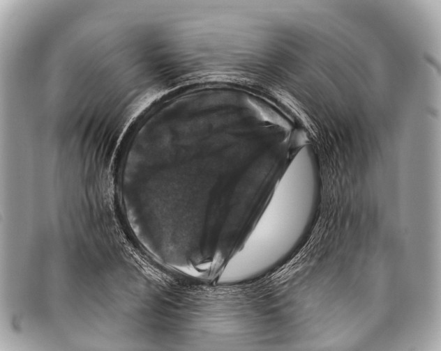 X0000097851024200804111123