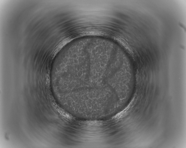 X0000097851025200804111123