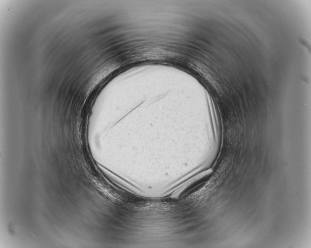 X0000097851026200804111123