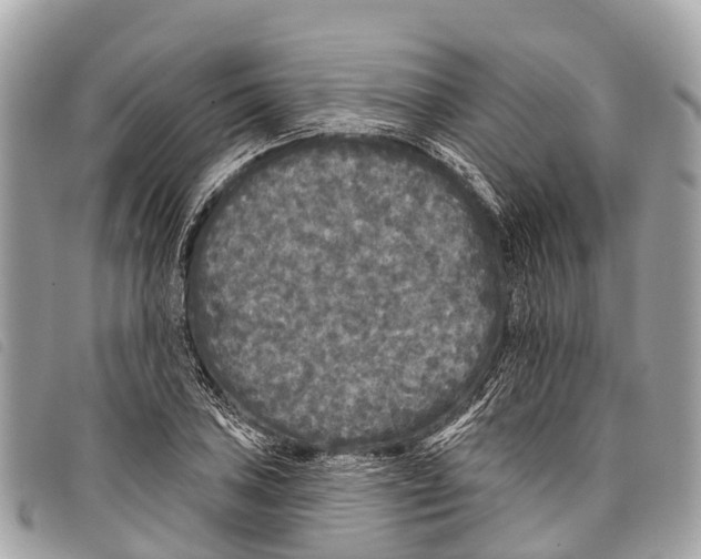 X0000097851027200804111123