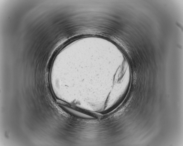 X0000097851029200804111124