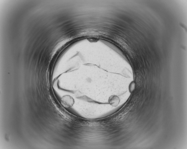 X0000097851030200804111124