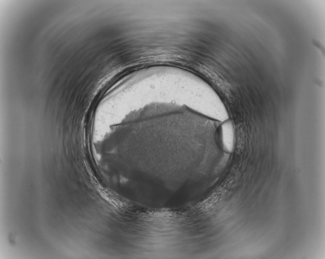 X0000097851031200804111124