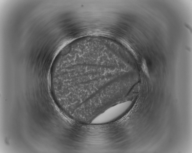 X0000097851032200804111124