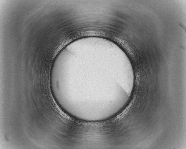 X0000097851033200804111124