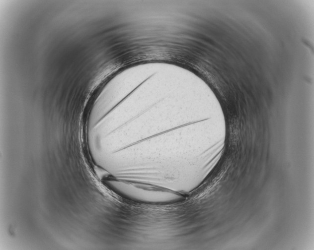 X0000097851034200804111124