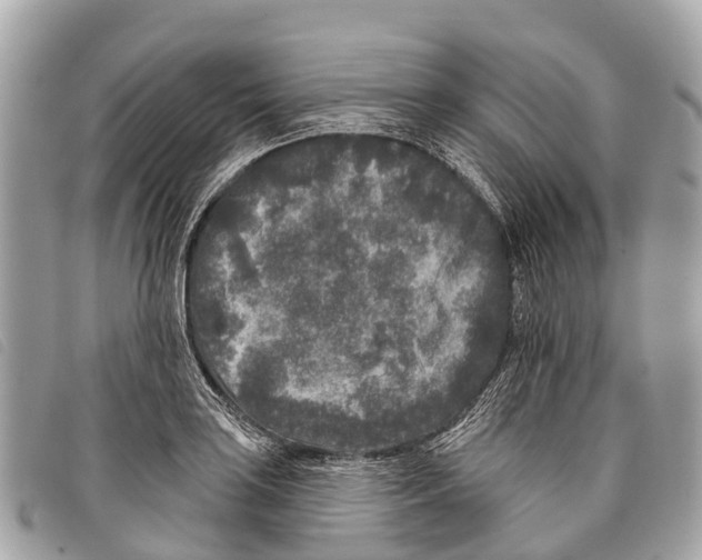 X0000097851035200804111124