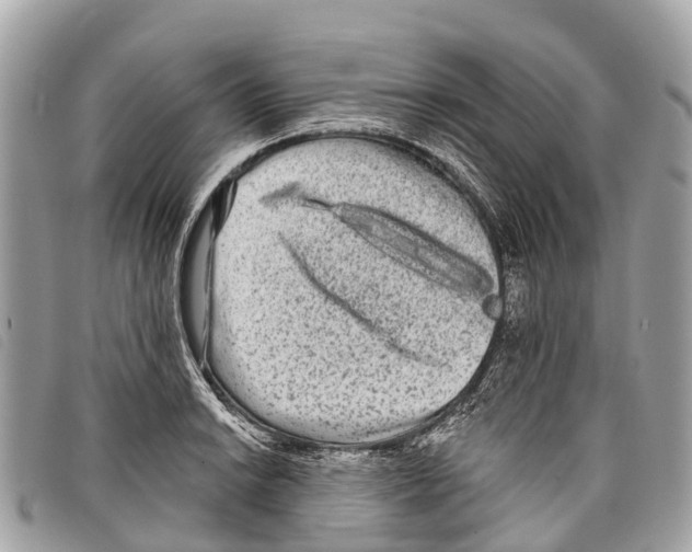 X0000097851038200804111124