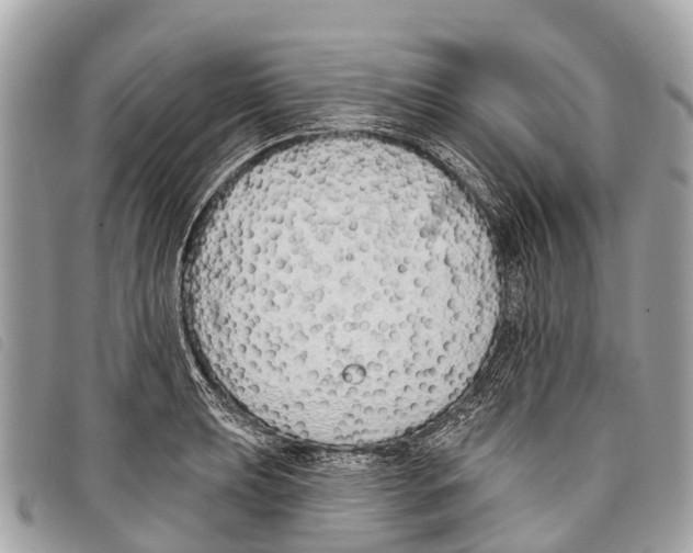 X0000097851039200804111124