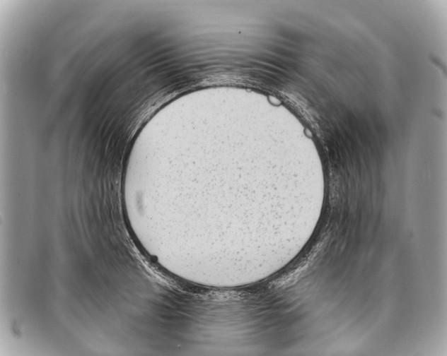 X0000097851041200804111124