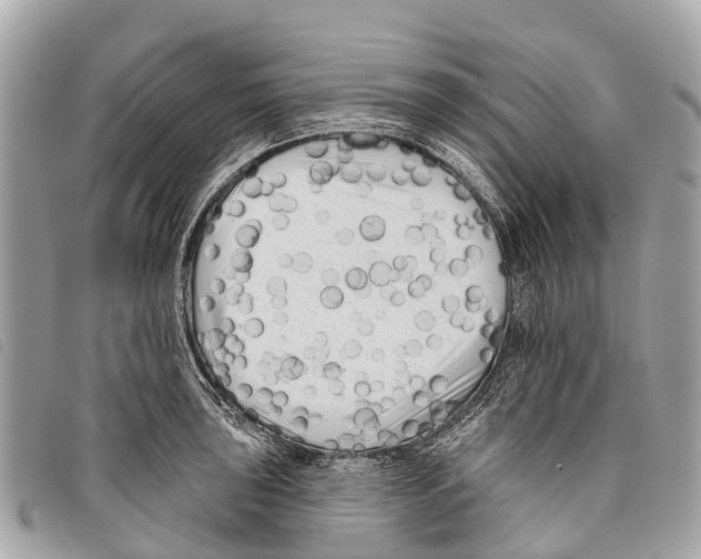 X0000097851043200804111124