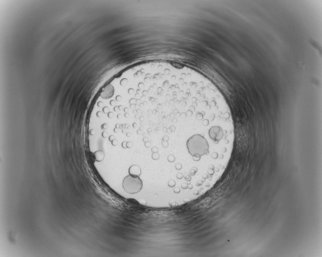 X0000097851044200804111124