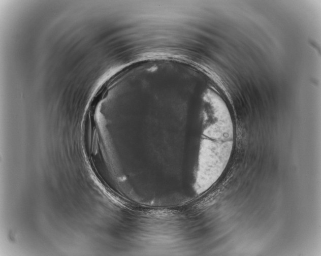 X0000097851045200804111124