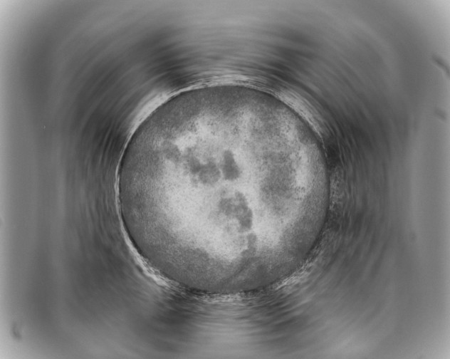 X0000097851047200804111124