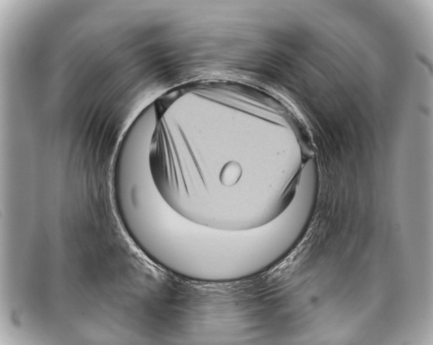 X0000097851048200804111124