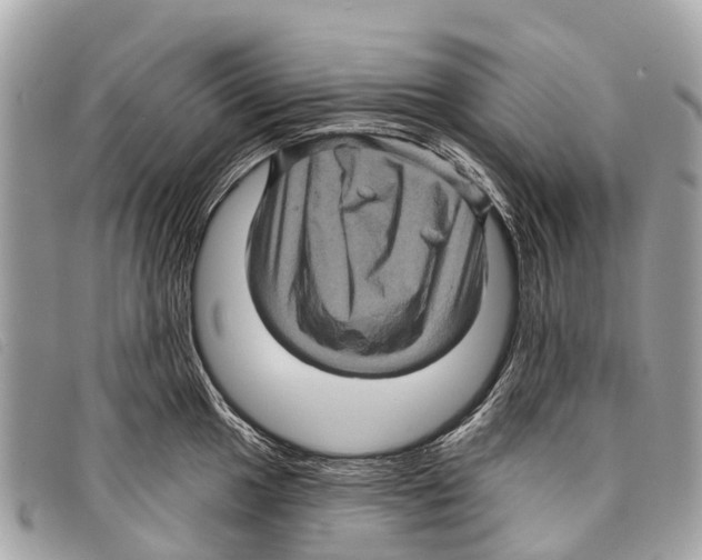 X0000097851049200804111124