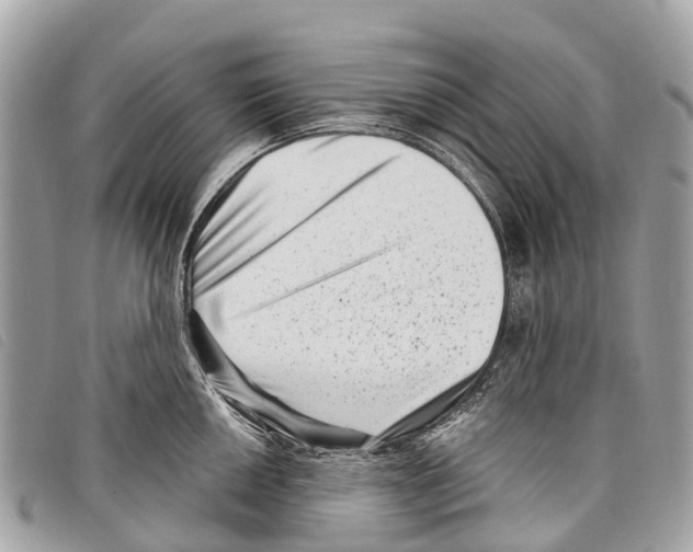 X0000097851050200804111124