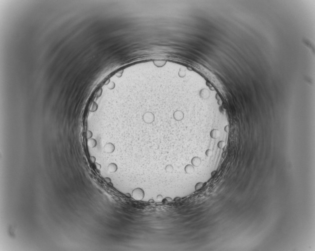 X0000097851051200804111124