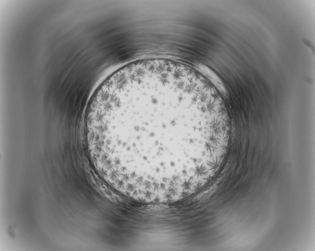 X0000097851052200804111124