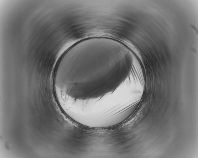 X0000097851053200804111124