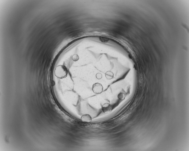 X0000097851054200804111124