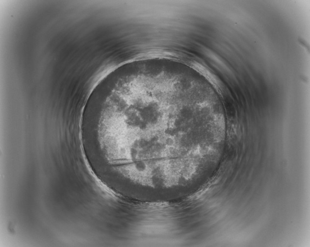 X0000097851055200804111124