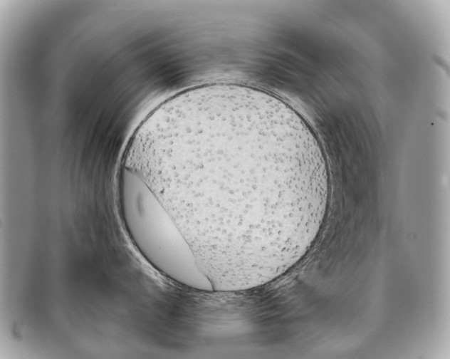 X0000097851056200804111124