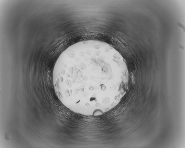 X0000097851059200804111123