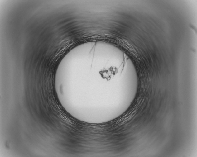 X0000097851060200804111123