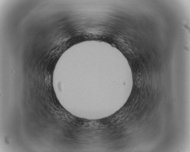 X0000097851061200804111123