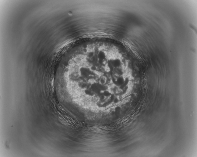 X0000097851063200804111123