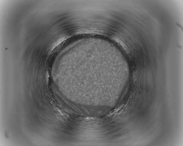 X0000097851064200804111123