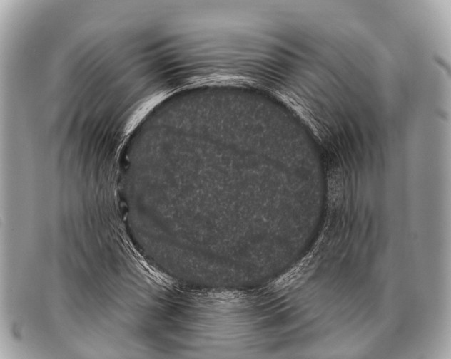 X0000097851066200804111123