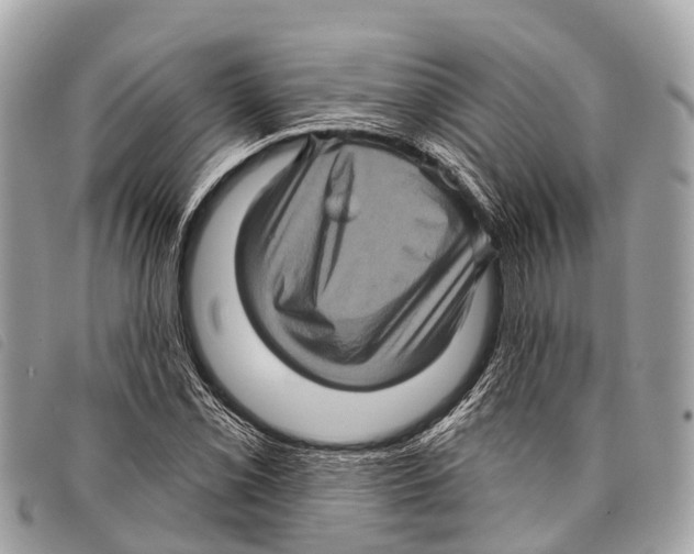 X0000097851069200804111123