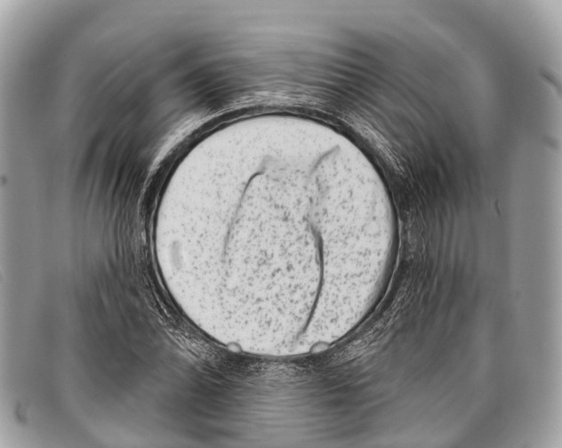 X0000097851070200804111123