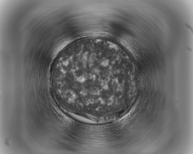 X0000097851071200804111123