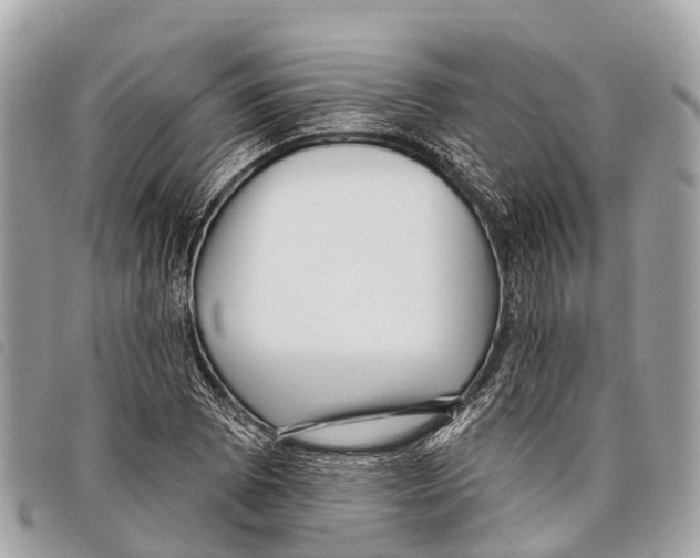 X0000097851073200804111123