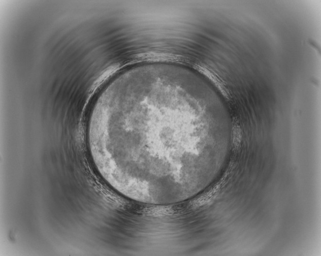 X0000097851074200804111123