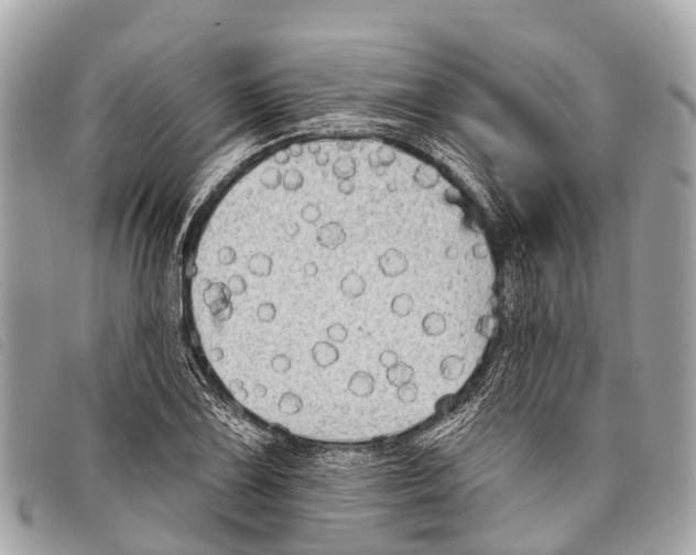 X0000097851075200804111123