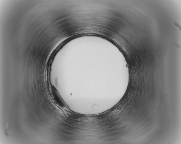 X0000097851076200804111123