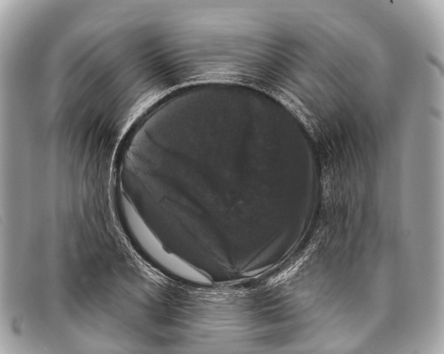 X0000097851077200804111123