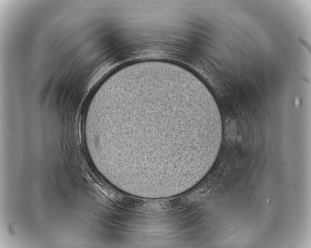 X0000097851078200804111123