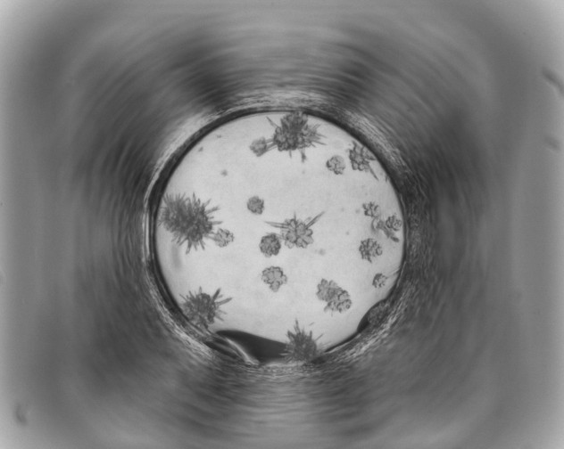 X0000097851079200804111123