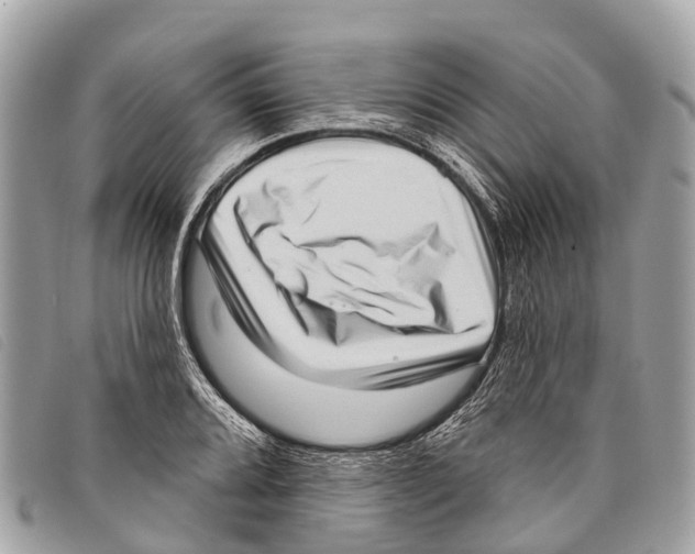 X0000097851080200804111123